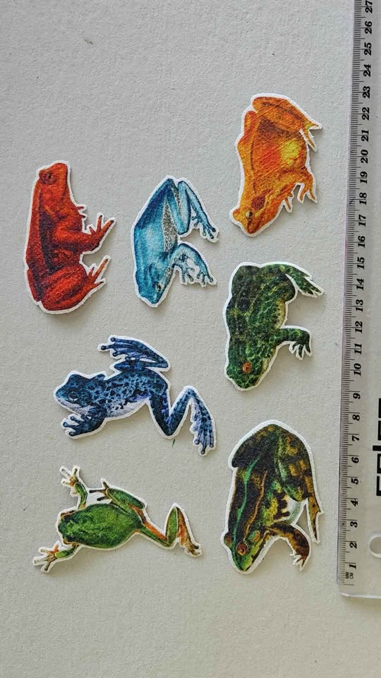 Термо-аппликация "Лягушки "
